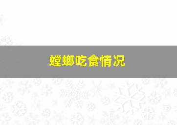 螳螂吃食情况