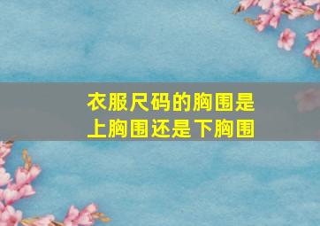 衣服尺码的胸围是上胸围还是下胸围