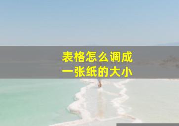 表格怎么调成一张纸的大小