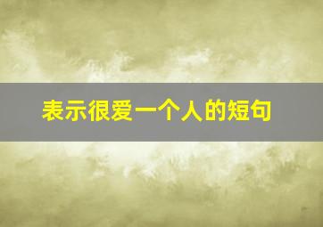 表示很爱一个人的短句