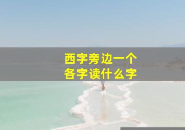 西字旁边一个各字读什么字