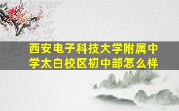 西安电子科技大学附属中学太白校区初中部怎么样