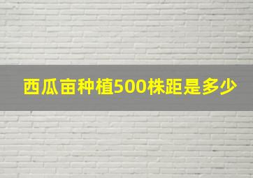 西瓜亩种植500株距是多少