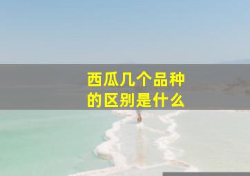 西瓜几个品种的区别是什么