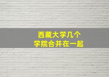 西藏大学几个学院合并在一起