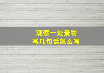 观察一处景物写几句话怎么写