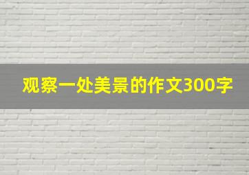 观察一处美景的作文300字