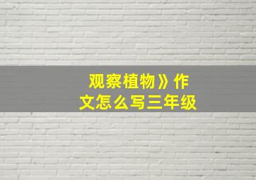 观察植物》作文怎么写三年级