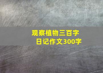 观察植物三百字日记作文300字