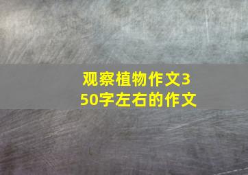 观察植物作文350字左右的作文