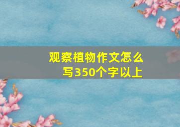 观察植物作文怎么写350个字以上