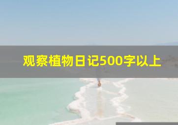 观察植物日记500字以上