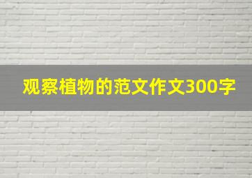 观察植物的范文作文300字