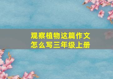 观察植物这篇作文怎么写三年级上册