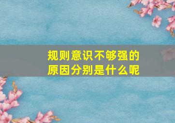 规则意识不够强的原因分别是什么呢