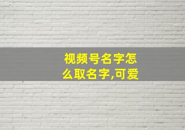 视频号名字怎么取名字,可爱