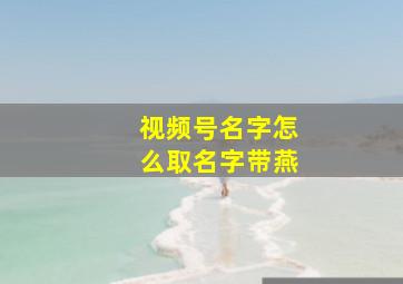 视频号名字怎么取名字带燕