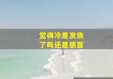 觉得冷是发烧了吗还是感冒