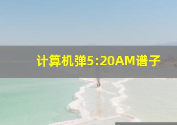 计算机弹5:20AM谱子