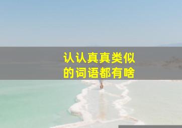 认认真真类似的词语都有啥