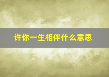 许你一生相伴什么意思