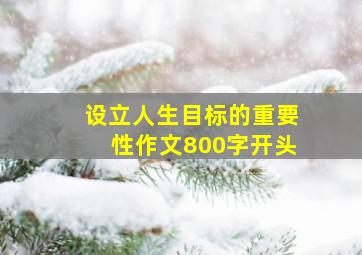 设立人生目标的重要性作文800字开头