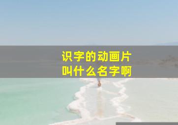 识字的动画片叫什么名字啊