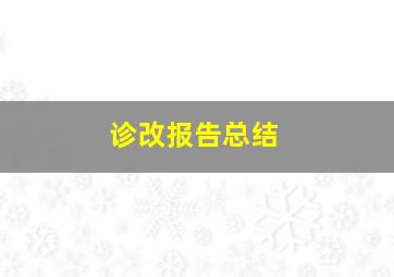 诊改报告总结