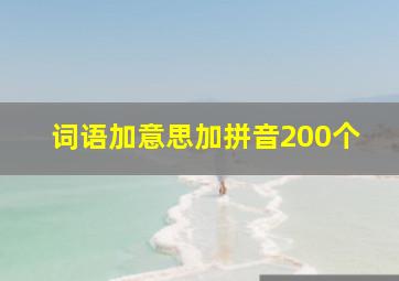 词语加意思加拼音200个