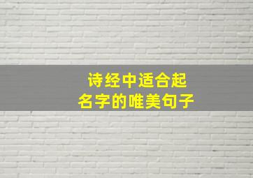 诗经中适合起名字的唯美句子