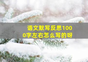 语文默写反思1000字左右怎么写的呀