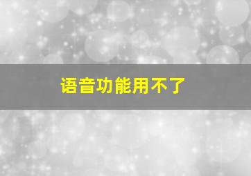 语音功能用不了