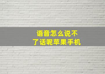 语音怎么说不了话呢苹果手机