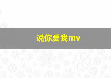 说你爱我mv