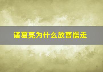 诸葛亮为什么放曹操走