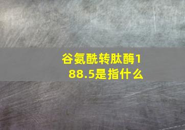 谷氨酰转肽酶188.5是指什么