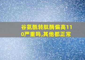 谷氨酰转肽酶偏高110严重吗,其他都正常