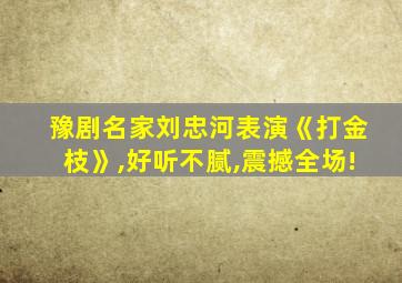 豫剧名家刘忠河表演《打金枝》,好听不腻,震撼全场!