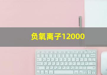 负氧离子12000