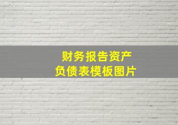 财务报告资产负债表模板图片