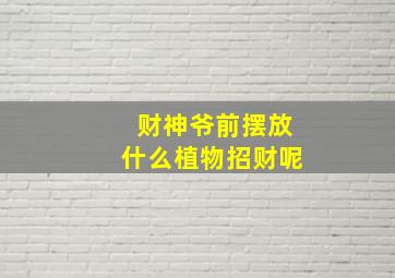 财神爷前摆放什么植物招财呢