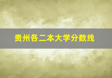 贵州各二本大学分数线