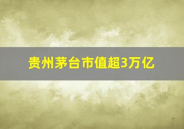 贵州茅台市值超3万亿