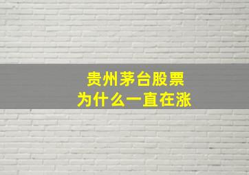 贵州茅台股票为什么一直在涨