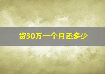 贷30万一个月还多少