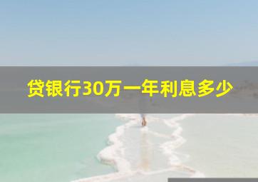 贷银行30万一年利息多少