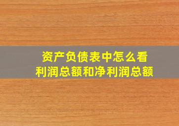 资产负债表中怎么看利润总额和净利润总额