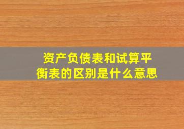 资产负债表和试算平衡表的区别是什么意思