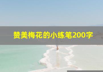 赞美梅花的小练笔200字