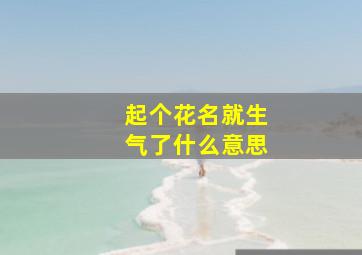 起个花名就生气了什么意思